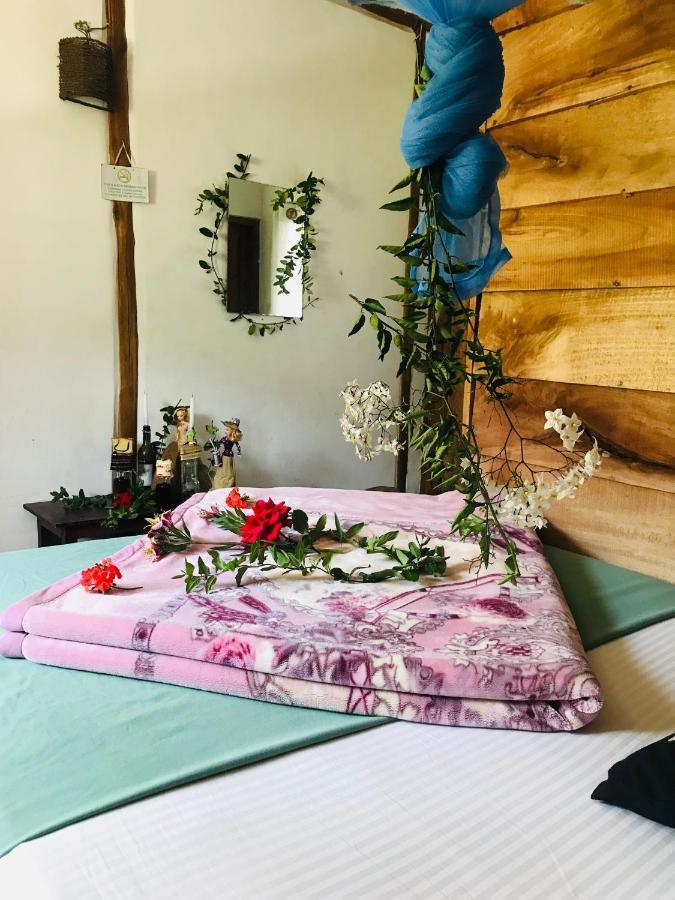 فندق نوفارا إيلِيافي  Paul Wood Cabana المظهر الخارجي الصورة