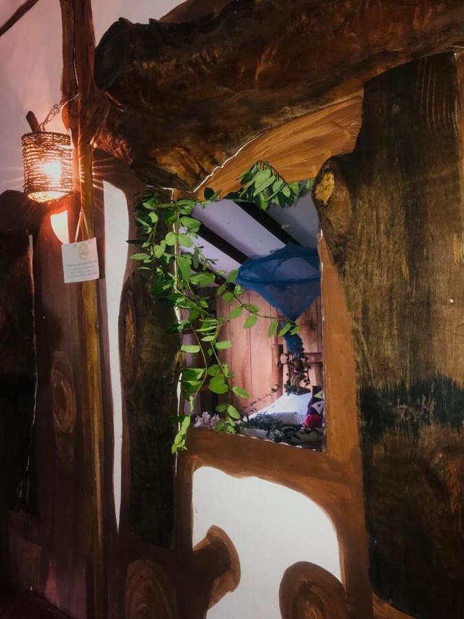 فندق نوفارا إيلِيافي  Paul Wood Cabana المظهر الخارجي الصورة